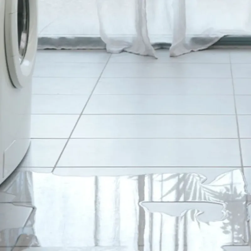 Appliance Leak Cleanup in Princeville, IL