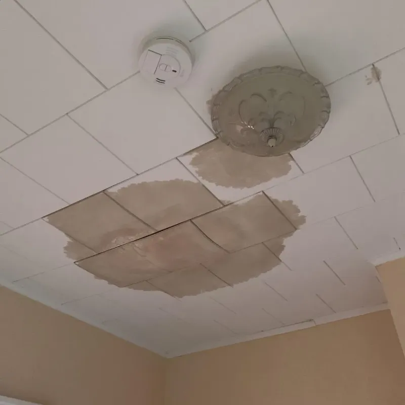Ceiling Water Damage Repair in Princeville, IL