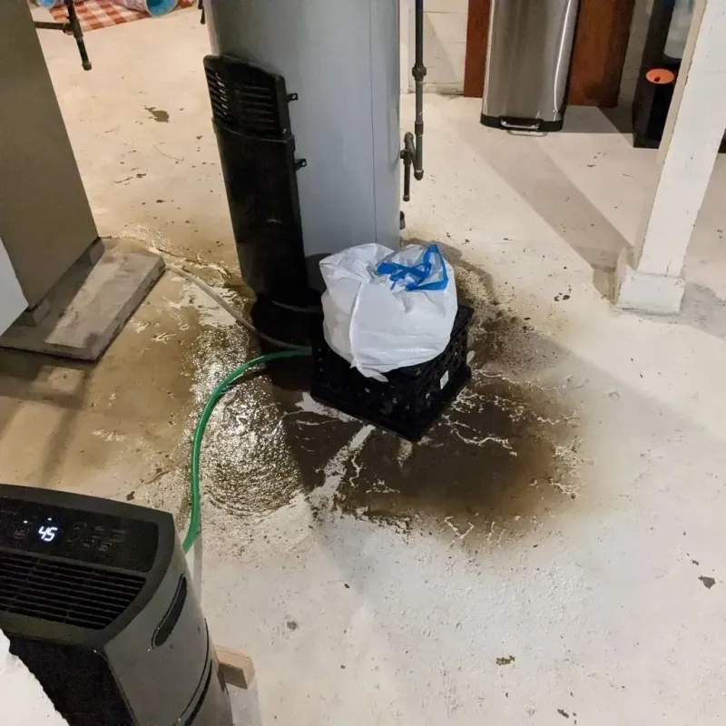 Sewage Backup Cleanup Service in Princeville, IL